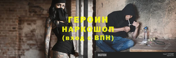 гидра Каменка