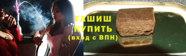 индика Каменногорск