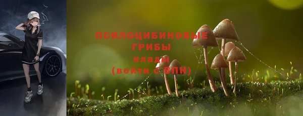 кокс Инта