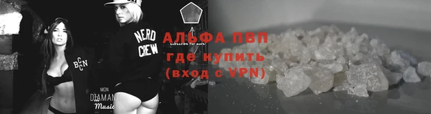 кокс Инта
