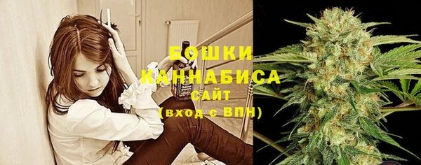 кокс Инсар