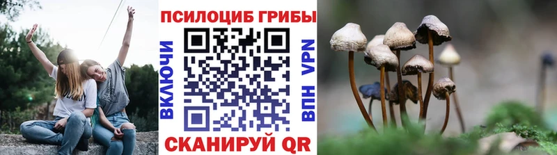Галлюциногенные грибы мухоморы  Купить закладки  Бахчисарай 